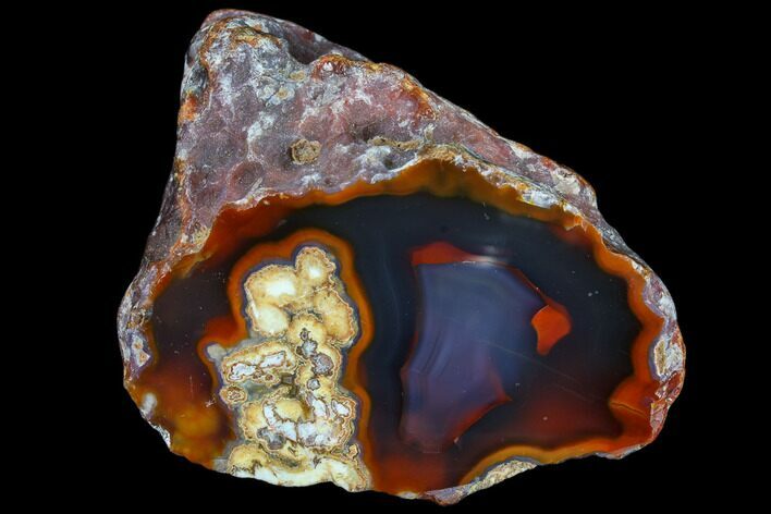 Beautiful Condor Agate From Argentina - Cut/Polished Face #79593